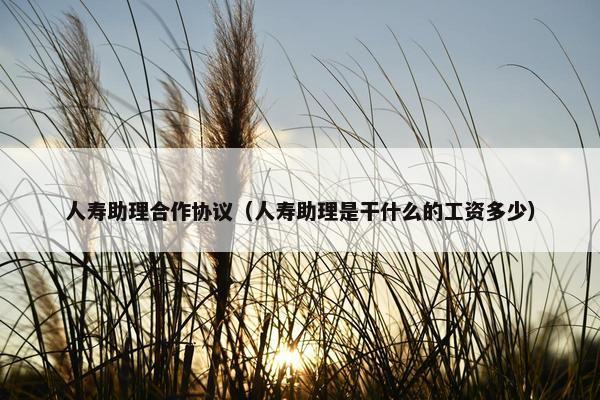 人寿助理合作协议（人寿助理是干什么的工资多少）
