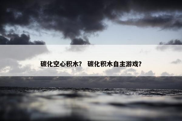 碳化空心积木？ 碳化积木自主游戏？