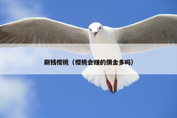 刷钱樱桃（樱桃会赚的佣金多吗）