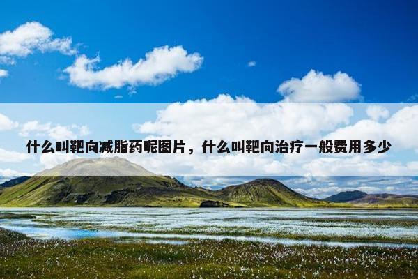 什么叫靶向减脂药呢图片，什么叫靶向治疗一般费用多少