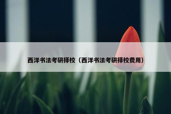 西洋书法考研择校（西洋书法考研择校费用）