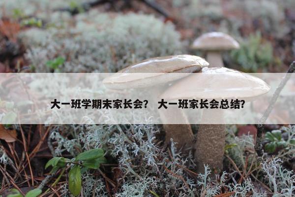 大一班学期末家长会？ 大一班家长会总结？