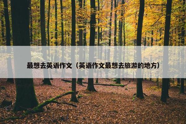 最想去英语作文（英语作文最想去旅游的地方）