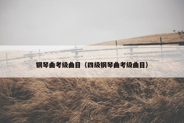 钢琴曲考级曲目（四级钢琴曲考级曲目）