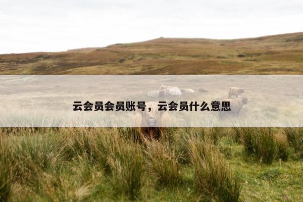 云会员会员账号，云会员什么意思