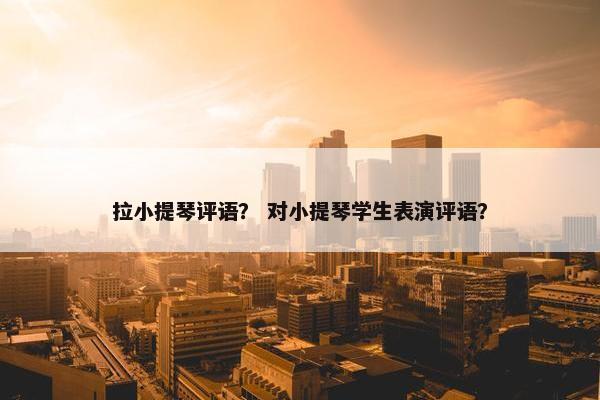 拉小提琴评语？ 对小提琴学生表演评语？