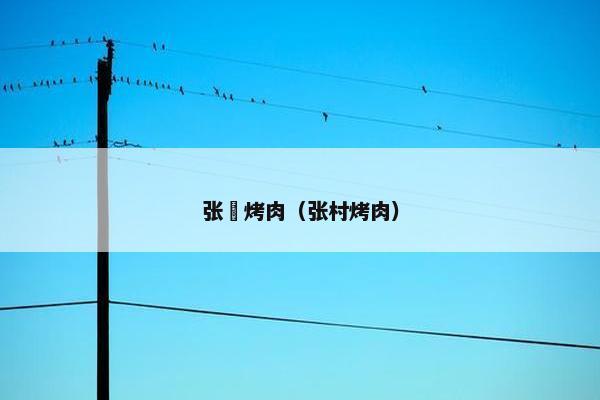 张嬢烤肉（张村烤肉）