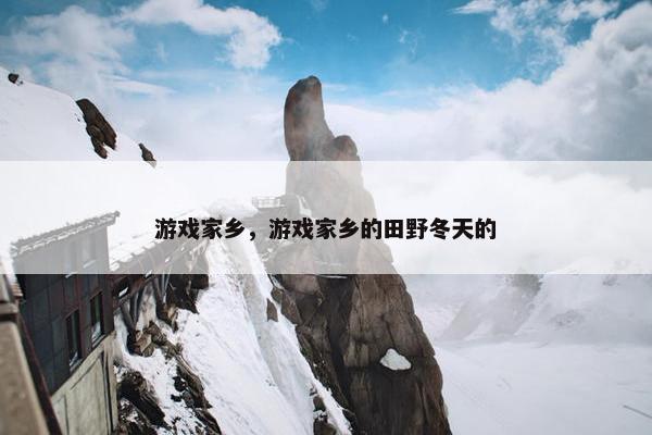 游戏家乡，游戏家乡的田野冬天的
