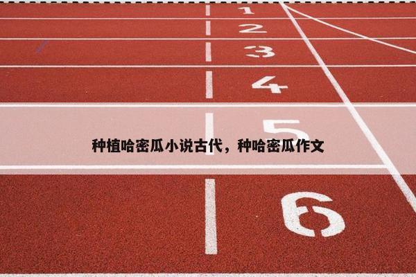种植哈密瓜小说古代，种哈密瓜作文