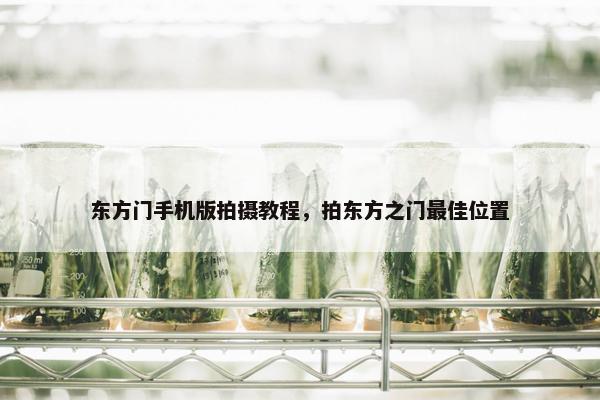 东方门手机版拍摄教程，拍东方之门最佳位置