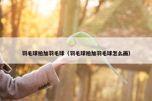 羽毛球拍加羽毛球（羽毛球拍加羽毛球怎么画）