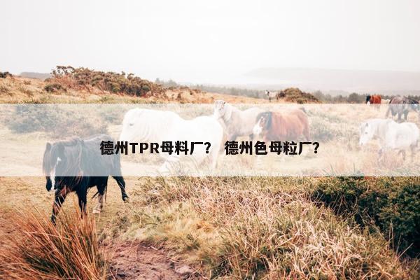 德州TPR母料厂？ 德州色母粒厂？