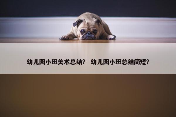 幼儿园小班美术总结？ 幼儿园小班总结简短？
