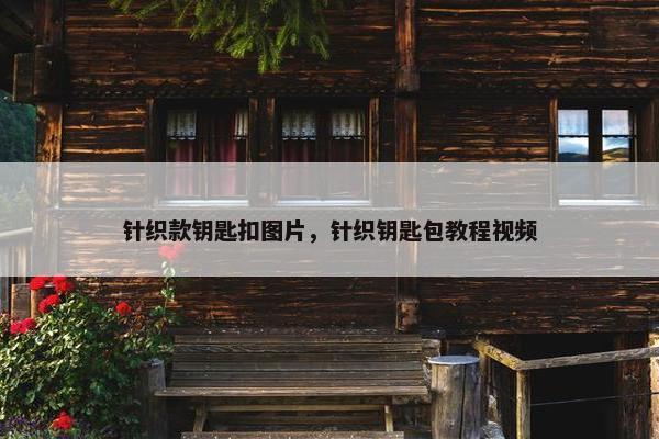 针织款钥匙扣图片，针织钥匙包教程视频