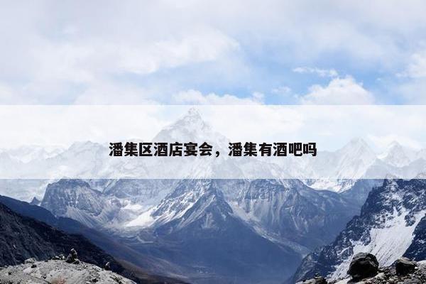 潘集区酒店宴会，潘集有酒吧吗