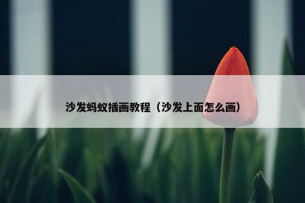 沙发蚂蚁插画教程（沙发上面怎么画）