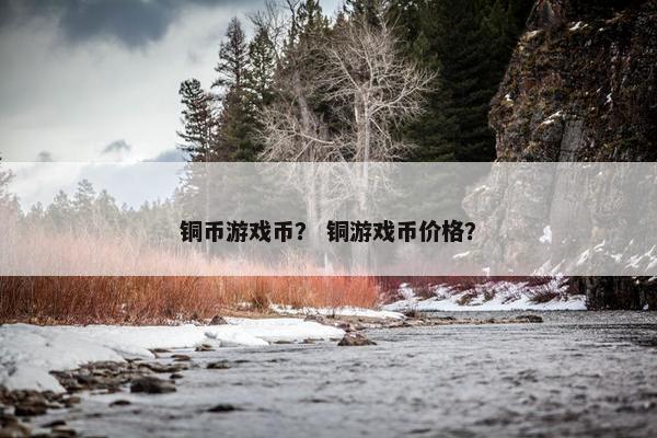 铜币游戏币？ 铜游戏币价格？