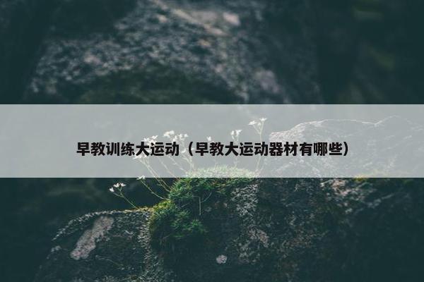 早教训练大运动（早教大运动器材有哪些）