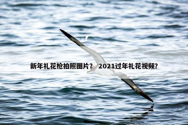 新年礼花枪拍照图片？ 2021过年礼花视频？