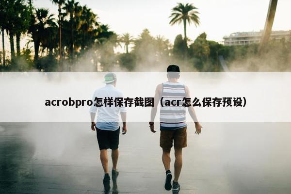 acrobpro怎样保存截图（acr怎么保存预设）