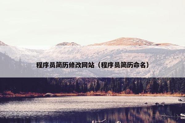 程序员简历修改网站（程序员简历命名）