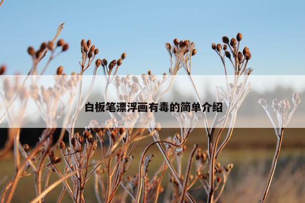 白板笔漂浮画有毒的简单介绍