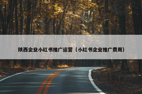 陕西企业小红书推广运营（小红书企业推广费用）