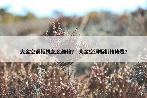 大金空调柜机怎么维修？ 大金空调柜机维修费？