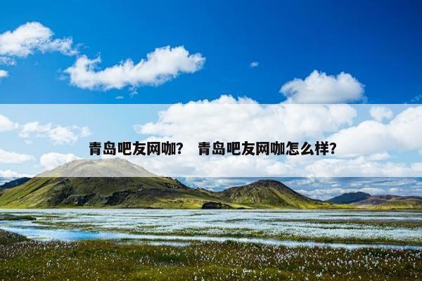 青岛吧友网咖？ 青岛吧友网咖怎么样？