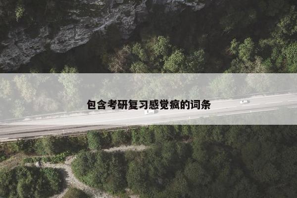 包含考研复习感觉疯的词条