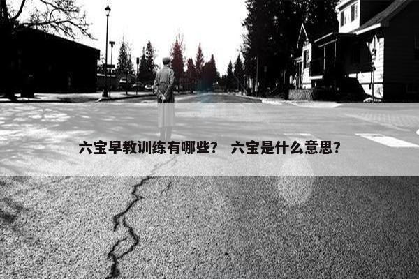 六宝早教训练有哪些？ 六宝是什么意思？