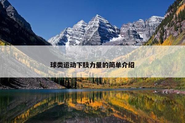 球类运动下肢力量的简单介绍