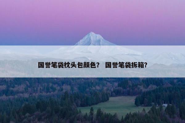 国誉笔袋枕头包颜色？ 国誉笔袋拆箱？