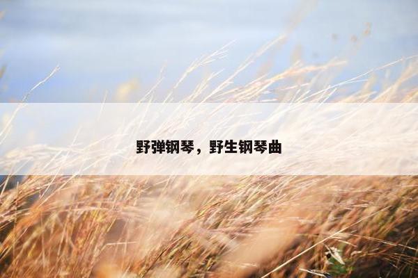 野弹钢琴，野生钢琴曲
