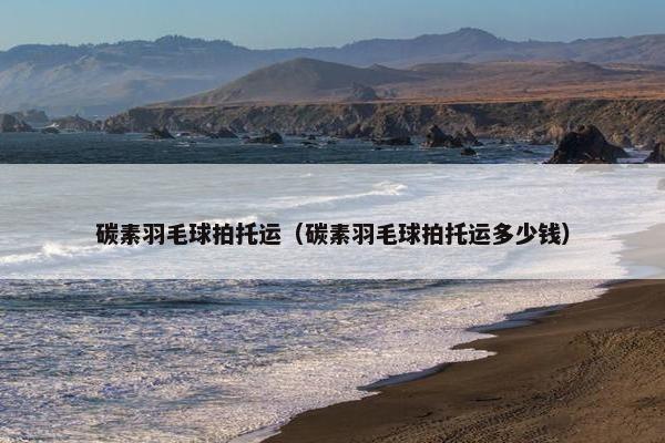 碳素羽毛球拍托运（碳素羽毛球拍托运多少钱）