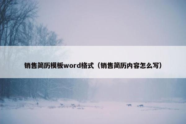 销售简历模板word格式（销售简历内容怎么写）