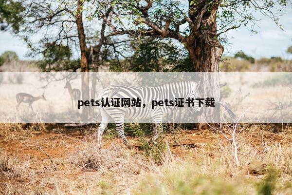 pets认证网站，pets证书下载