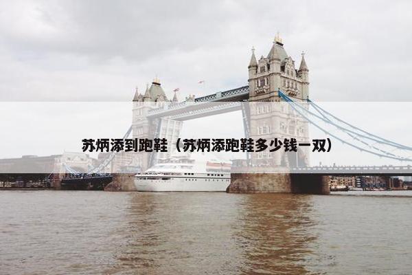 苏炳添到跑鞋（苏炳添跑鞋多少钱一双）