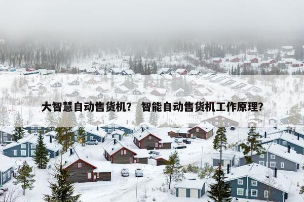 大智慧自动售货机？ 智能自动售货机工作原理？