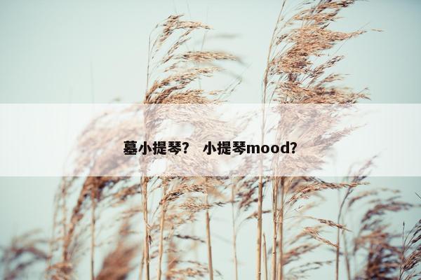 墓小提琴？ 小提琴mood？