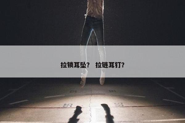 拉锁耳坠？ 拉链耳钉？