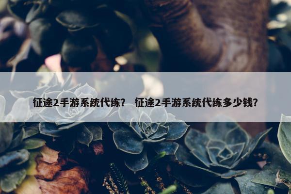 征途2手游系统代练？ 征途2手游系统代练多少钱？