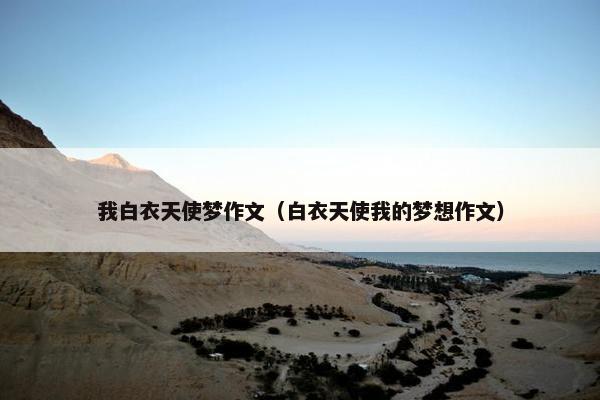 我白衣天使梦作文（白衣天使我的梦想作文）