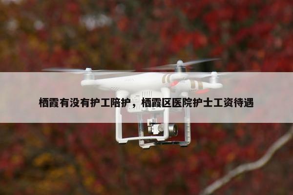 栖霞有没有护工陪护，栖霞区医院护士工资待遇