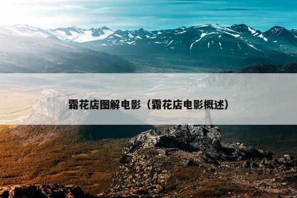 霜花店图解电影（霜花店电影概述）