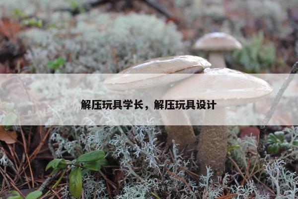 解压玩具学长，解压玩具设计