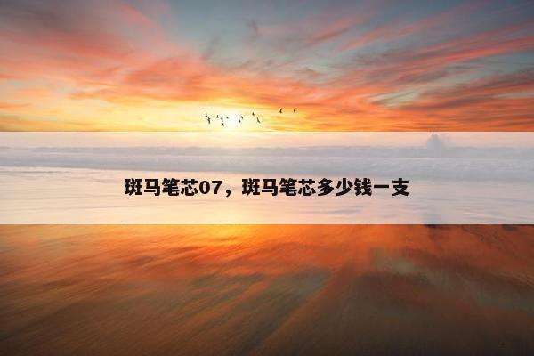 斑马笔芯07，斑马笔芯多少钱一支