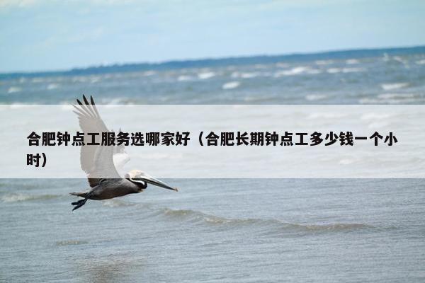 合肥钟点工服务选哪家好（合肥长期钟点工多少钱一个小时）