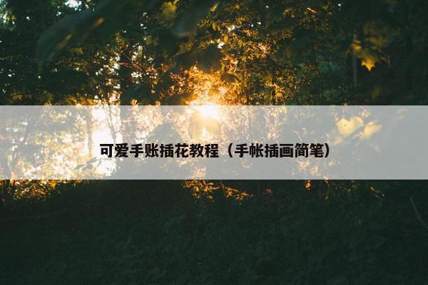 可爱手账插花教程（手帐插画简笔）