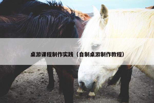 桌游课程制作实践（自制桌游制作教程）